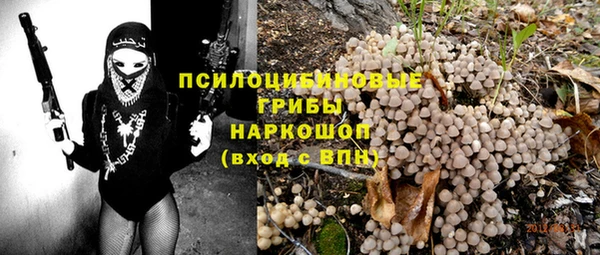дурь Алексин