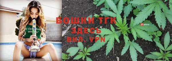 гидра Алексеевка